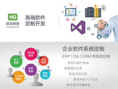 軟件定制開發(fā)服務 企業(yè)軟件高端定制